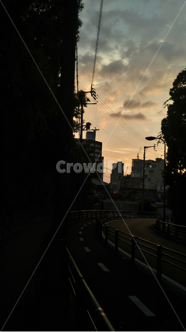 road,도로,asphalt,아스팔트,해질녘,sunset