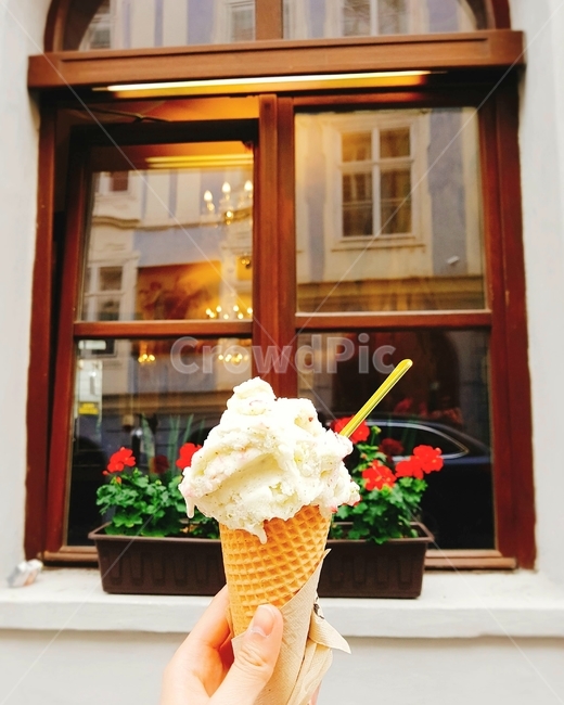 아이스크림,손,창문,꽃,콘,인증샷,젤라또,창틀,food,음식,dessert,디저트,간식,후식