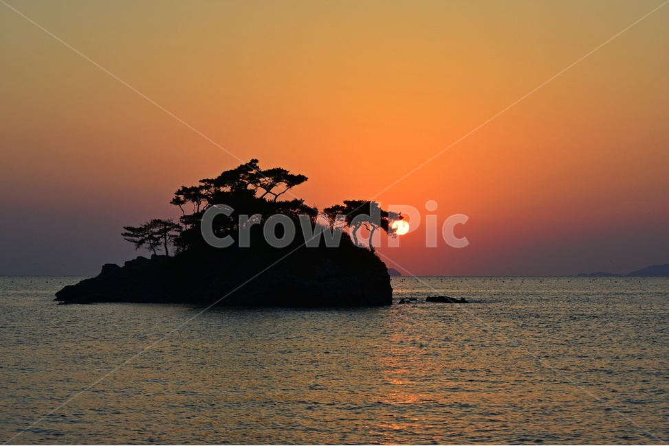 전북,부안,솔섬,소나무,용,용머리,해,입에물다,nature,자연,outdoors,옥외,land,땅,ocean,대양,sea,바다,water,물,shoreline,해안선,sunset,일몰,redsky,붉은하늘,sky,하늘,dusk,황혼,자연,풍경,nature,landscape,한국자연풍경,한국자연경관,korea nature landscape