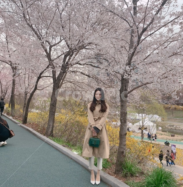 벚꽃길,예쁜여자,여자앞모습,웃음,미소,트렌치코트,길거리,fashion,girl,woman,feeling,수줍음,얼굴표정,패션스타일,의상,감성,봄,계절,spring,season,사람,인물,인간,human,person,여성,여자,woman,female,lady,sleeve,소매,plant,식물,long sleeve,긴팔