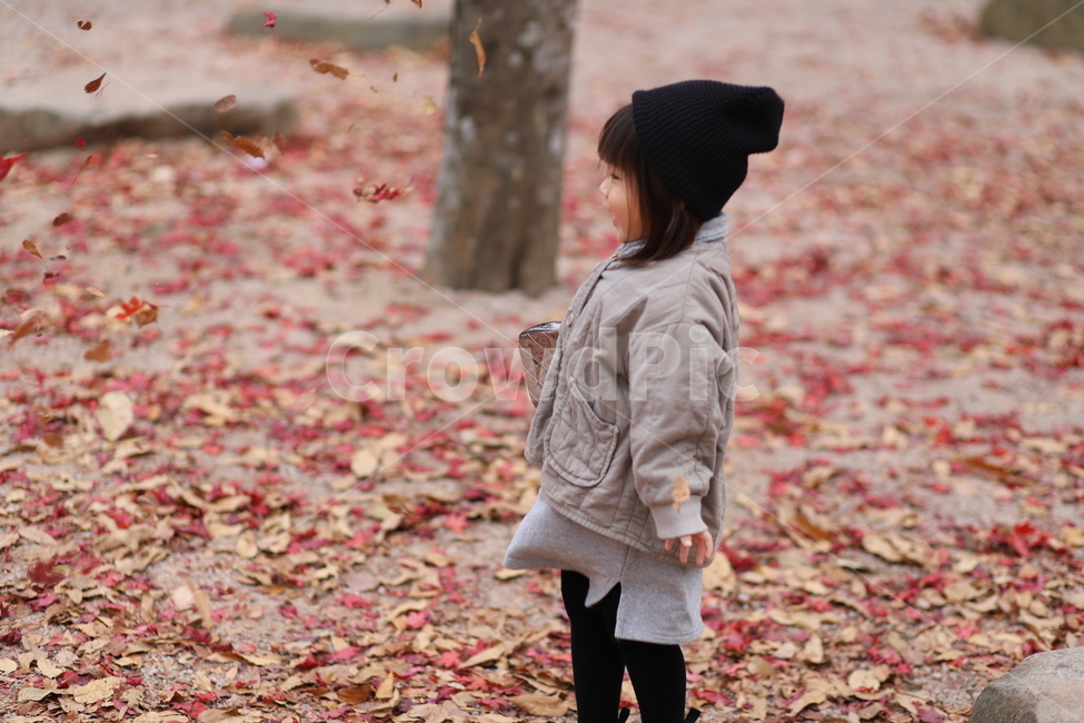 낙엽,아이,감성,단풍,행복,가을,계절,fall,autumn,season,사람,인물,인간,human,person,어린이,어린아이,child,children,kid,plant,식물,leaf,잎