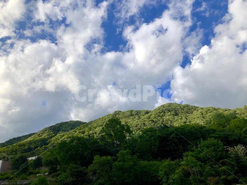 하늘,나무,풍경,sky,tree,mountain,landscape,blue,green,산,파랑,봄,여름,spring,summer,구름