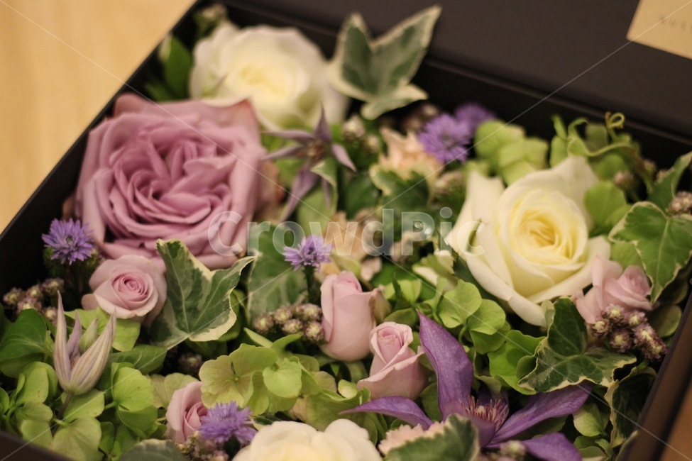 flower,꽃꽂이,plant,식물,꽃