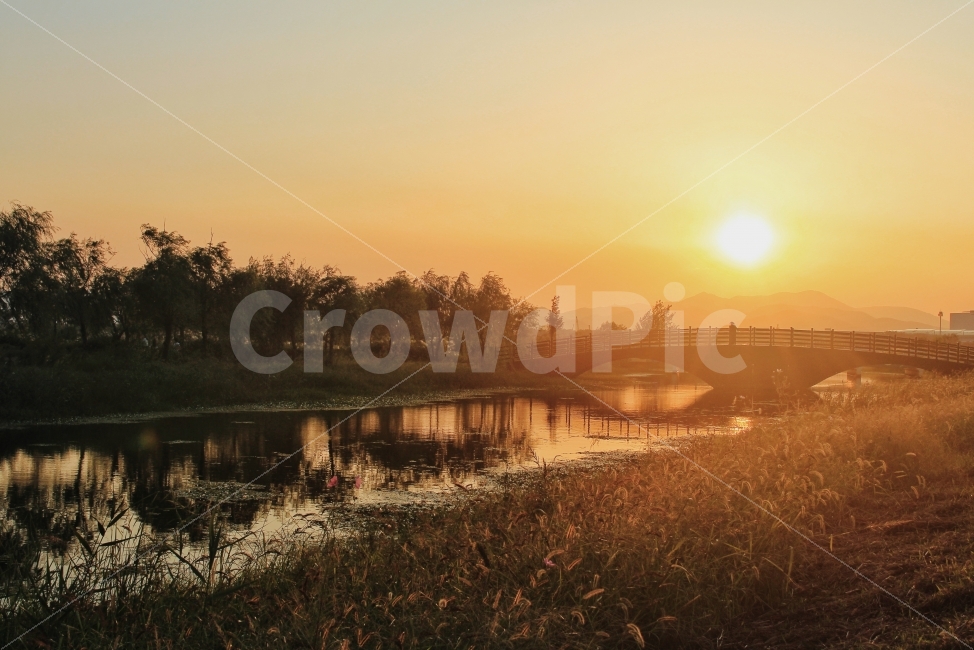 부산,삼락공원,노을,풍경,강,자연,풍경,nature,landscape,한국자연풍경,한국자연경관,korea nature landscape,outdoors,옥외,land,땅