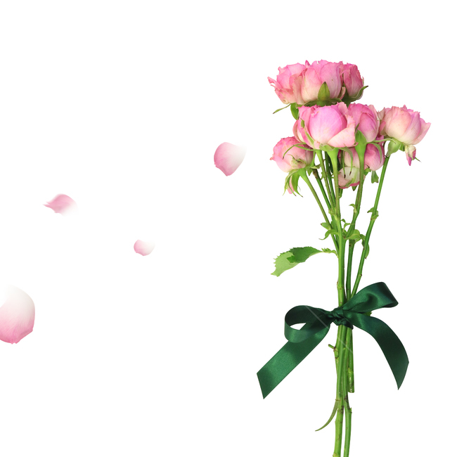 백그라운드,식물,자연,계절,봄,꽃,배경,배경이미지,내추럴,flower,nature,flora,background,장미,꽃다발,리본,프로포즈,선물,이벤트,축하,기념,분홍장미,꽃,flower