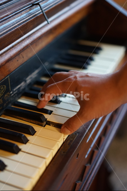 피아노,건반,악기,piano,음악,피아노연주,사람,인물,인간,human,person,신체일부,몸,body,악기,음향기기,musical instrument,musical equipment