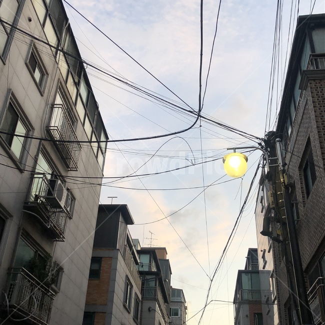 불빛,주택가,가로등,하늘,건물,통로,골목길,alley