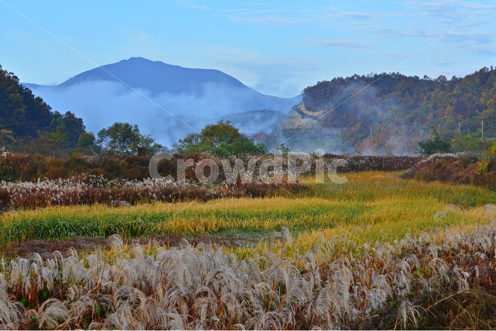 mountain,mountainrange,산맥,plant,식물,nature,자연,weather,날씨,outdoors,옥외,화순,동복,동복저수지,저수지상류,억새,가을,계절,추색,만추