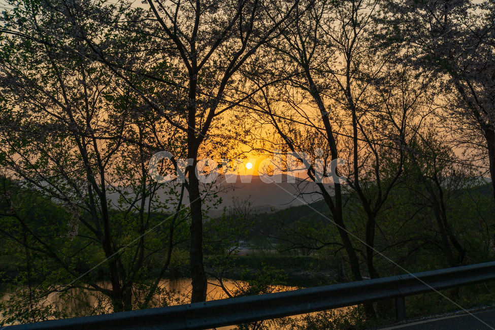 노을,풍경,저녁,태양,감성,따뜻함,나무,호수,배경,자연,풍경,nature,landscape,sunset,일몰,red sky,붉은 하늘,sky,하늘,dusk,황혼,dawn,새벽,outdoors,옥외,sunlight,햇빛