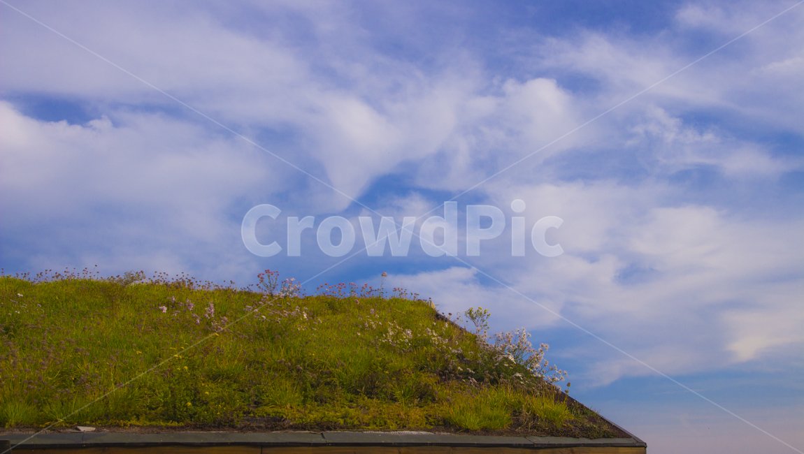 nature,날씨,weather,cloud,구름,sky,하늘,자연