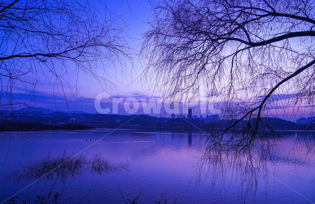 호수,여명,새벽,풍경,겨울,계절,자연,나무,식물,겨울,계절,winter,season,자연,풍경,nature,landscape,water,물,outdoors,옥외,land,땅