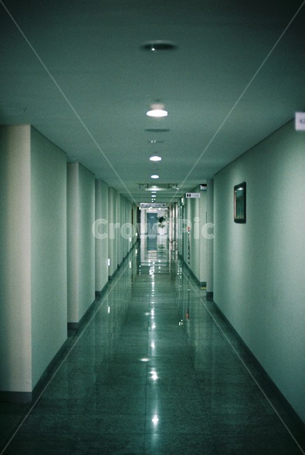 복도,건물,내부,감성,필름사진,건축물,건물외관,exterior,building,structure,architecture,construction
