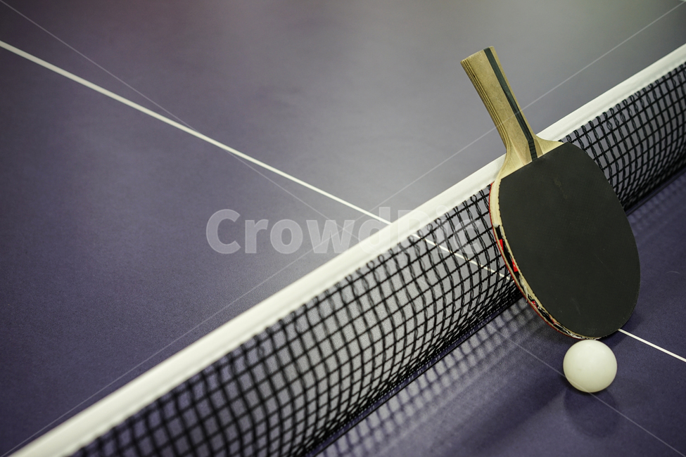 탁구,탁구대,스포츠,탁구라켓,탁구공,tabletennis,sport,스포츠,레저,운동,sports,leisure,exercise,사물,물건,오브젝트,thing,object,matter