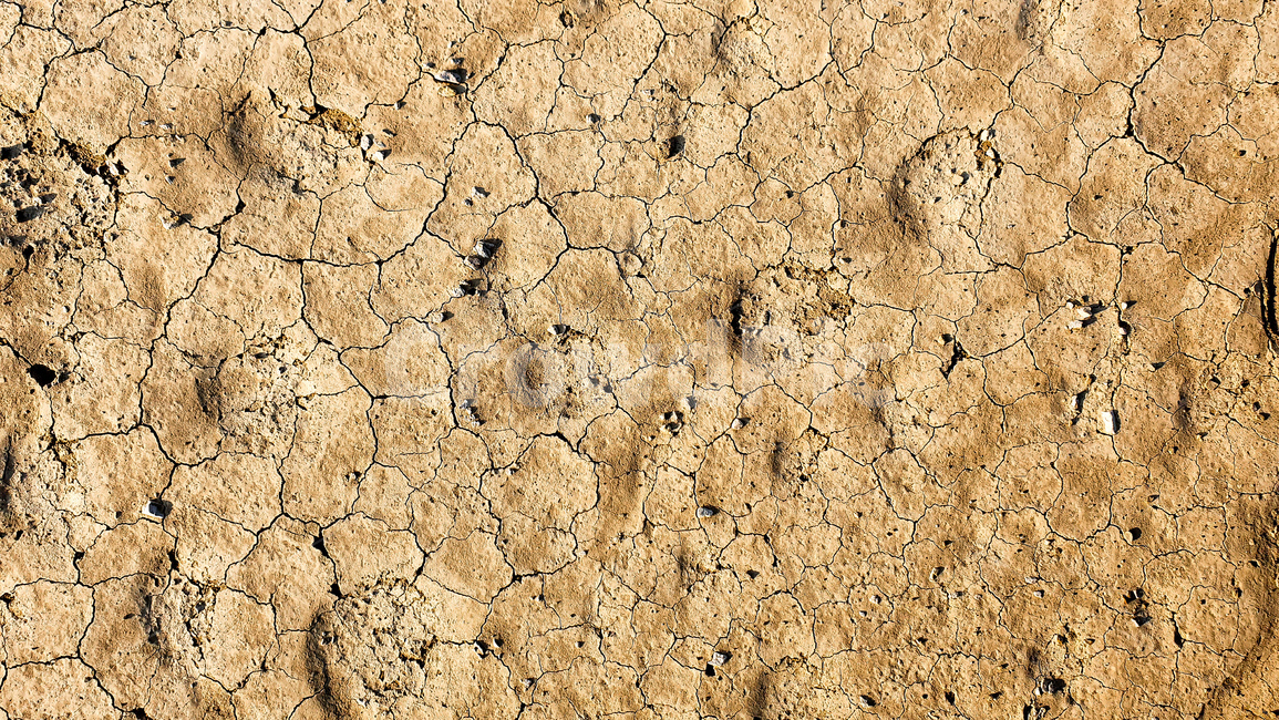 ground,가뭄,dry,land,갈라짐,틈,crack,텍스처,질감,패턴,texture,pattern
