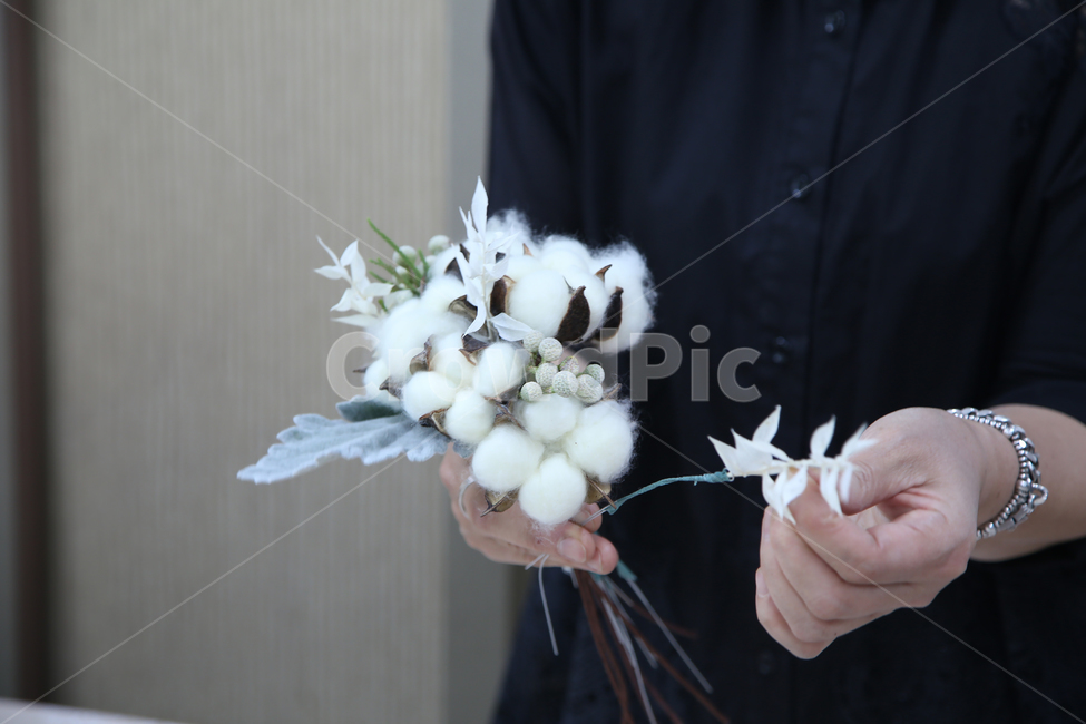 목화꽃다발,목화꽃,드라이플라워,꽃다발,말린꽃,꽃장식,인테리어소품,꽃,flower,사람,인물,인간,human,person,신체일부,몸,body
