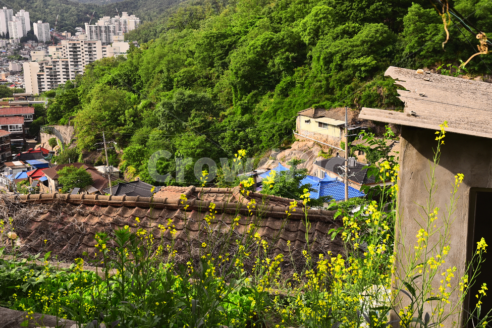 달동네,빈민촌,집,재개발,하우스,낡은,오래된,old,anoldhouse,poorhillsidevillage,가난,poor,언덕,마을,빌리지