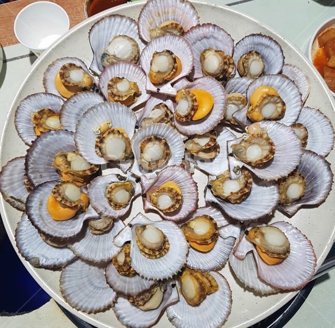 가리비,음식,요리,조개구이,가리비구이,음식,식재료,요리,food,cook,meal,dishes,food reserves,수산물,해산물,fishery products,seafood