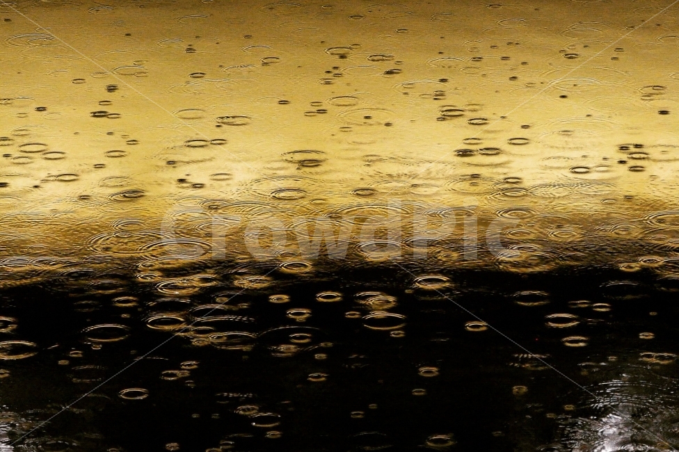 비,빗방울,rain,raindrop,공지천,비,비오는날,rain,rainy,감성,sensible,feeling
