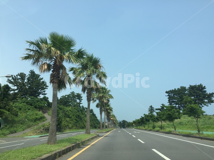자연,풍경,landscape,nature,rest,season,summer,드라이브,제주,jeju,여름,힐링,휴식