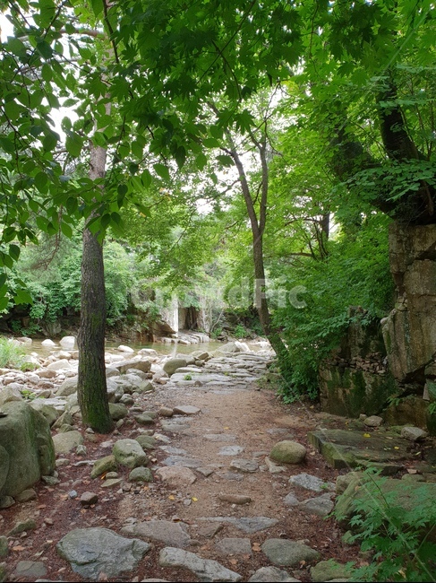 자연경관,쌍곡계곡,계곡,괴산자연,충북자연경관,풍경,눈정화,숲길,계곡물,오솔길,landscape,자연,풍경,nature,landscape,ground,바닥