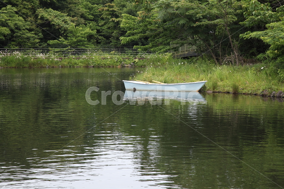 작은배,강가,공원,휴일,조용,자연,풍경,nature,landscape,vehicle,차량,transportation,교통,boat,보트