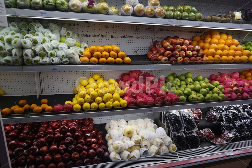 과일,사과,오렌지,포도,레몬,배,마트,쇼핑,fruit,apple,orange,grape,lemon,pear,mart,market,shopping,shop,store
