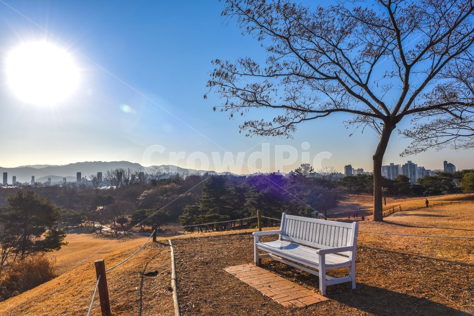 공원의자,겨울공원,의자,가구,나무,공원나무,자연,풍경,nature,landscape