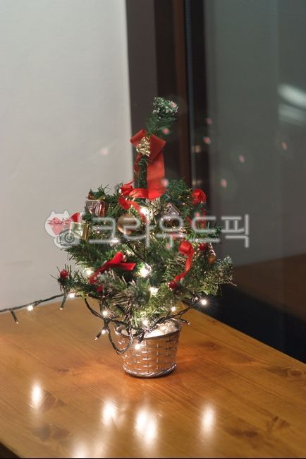 인테리어소품,christmastree,크리스마스트리,tree,장식,나무,plant,식물,카페소품,interrior