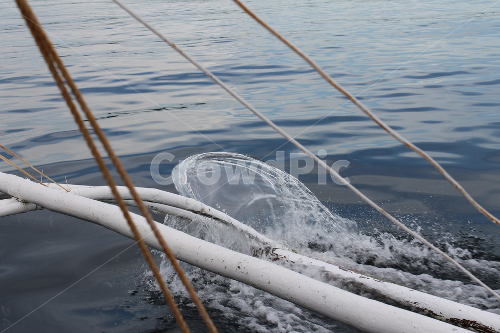 바다,sea,물결,ripple,wave,여름,summer,cebu,세부,호핑투어,hoppingtour
