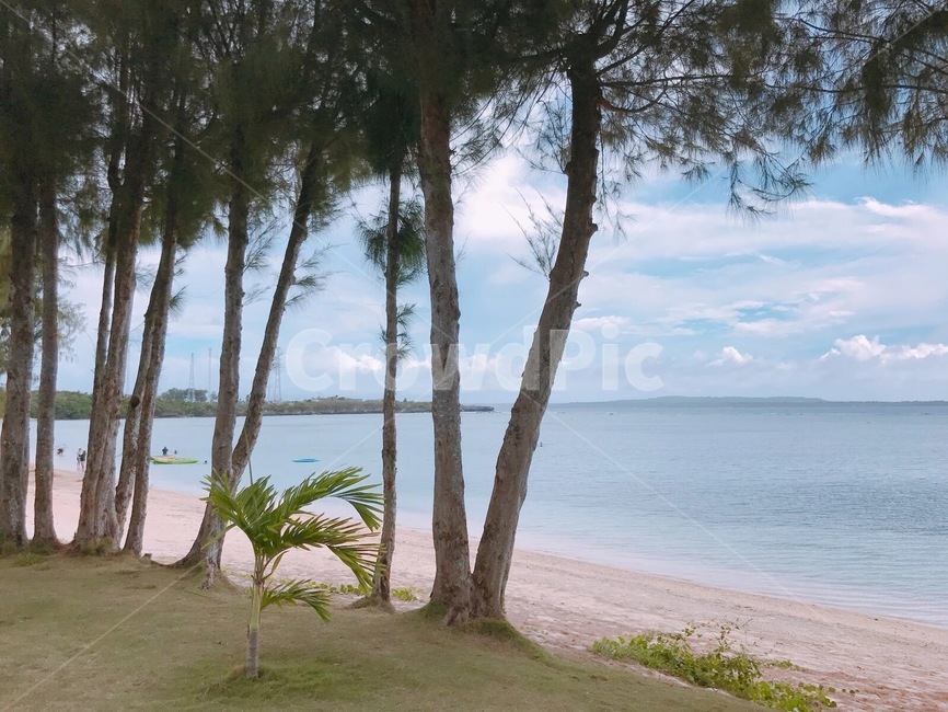 nature,자연,outdoors,옥외,water,물,sea,바다,ocean,대양,azuresky,푸른하늘,sky,하늘,사이판,해변,beach,tree,나무,summer,여름,해변,바다,beach,sea