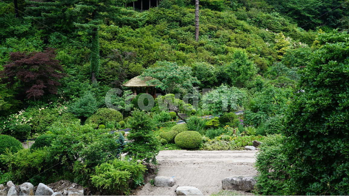 가평,숲,풍경,아침고요,수목원,자연,풍경,nature,landscape,outdoors,옥외