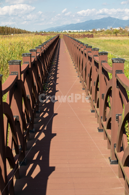 생태공원,도심공원,길,하늘,구름,나무데크,휴식,데이트코스,학습,자연,풍경,nature,landscape,railing,난간,handrail,banister