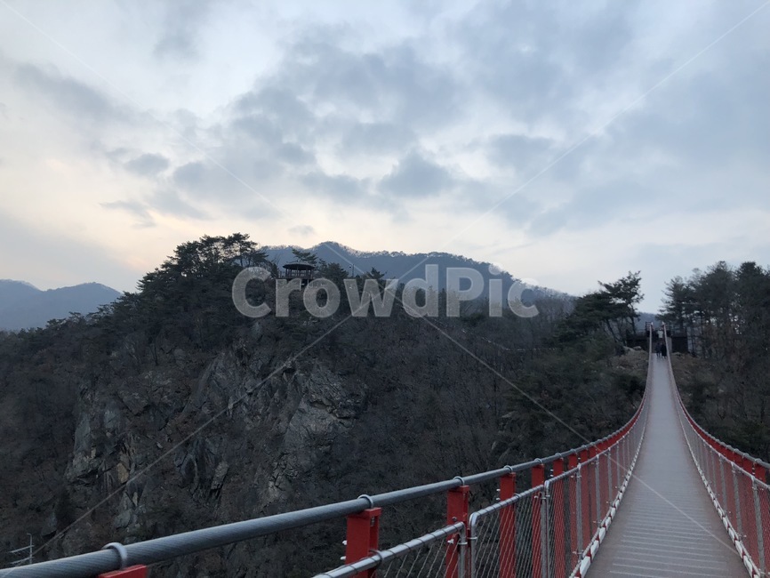 다리,출렁다리,산,산다리,자연