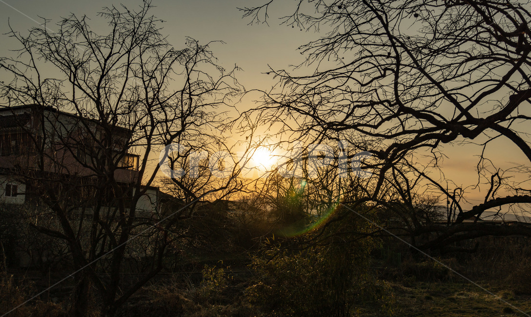 노을,일몰,나무,풍경,감성,하늘,자연,풍경,nature,landscape,outdoors,옥외,sky