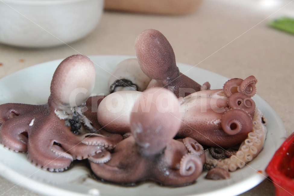 쭈꾸미,해산물,가정식,제철음식,한식,음식,음식,식재료,요리,food,cook,meal,dishes,food reserves,수산물,해산물,fishery products,seafood