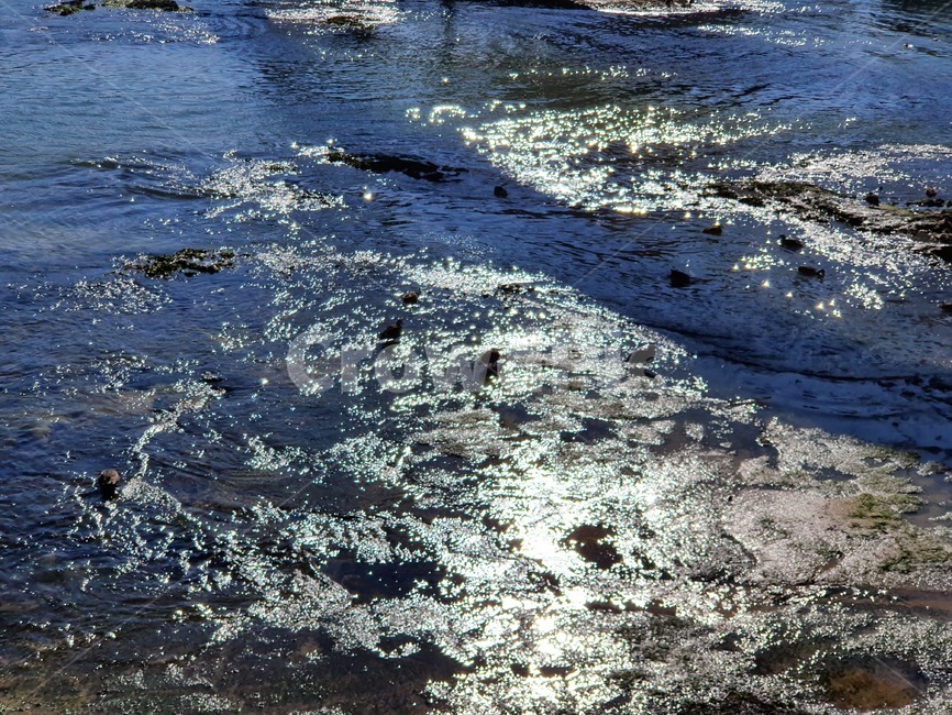 물,water,호수,자연,경포호