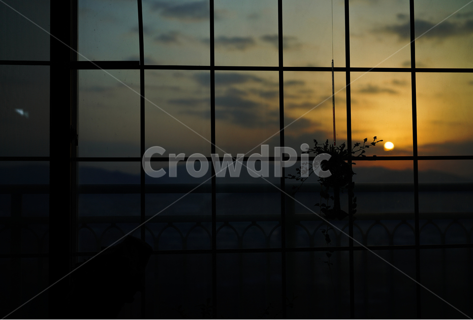 일출,태양,해,풍경,창,창가,window,자연,느낌,감성,구름,하늘,실루엣,sun,shine,색감,실내용화초,화분,화초,house plant,실루엣,그림자,silhouette,shadow