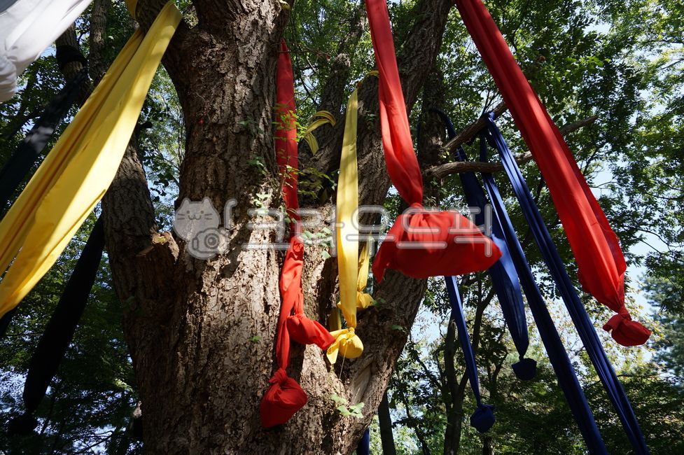 한국민속촌,용인,나무,서낭당,koreanfolkvillage,tree,totemism,shamanism