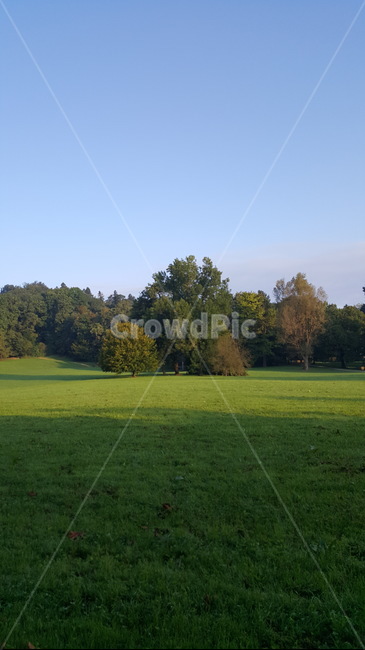 park,공원,가을,autumn,fall,가을,계절,fall,autumn,season,field,들,plant,식물,grass,잔디,outdoors,옥외