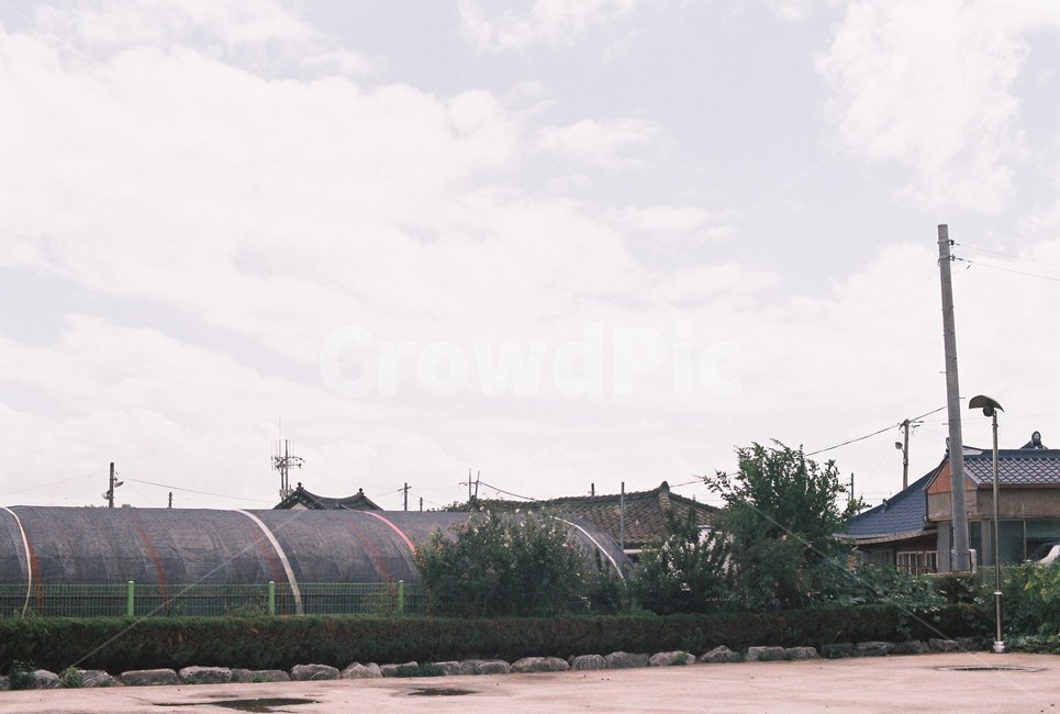필름,감성,감성사진,film,아날로그,analog,시골,시골풍경,자연,시골,마을,풍경,landscape,country,rural,town
