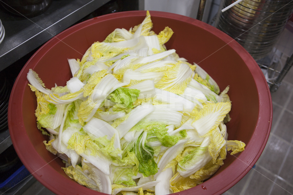 배추,겉절이,김치,김장,김장김치,음식,식재료,요리,food,cook,meal,dishes,food reserves