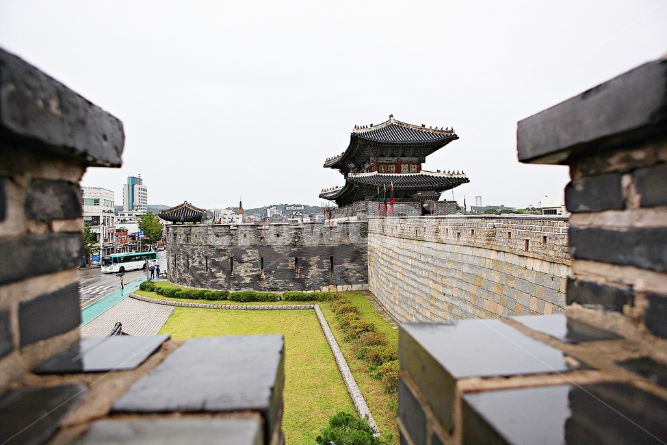 수원화성,성,성곽,길,둘레길,돌담,담,가을,자연,풍경,벽,방어벽,식물,전통,한국전통,한국문화,korean traditional,korean culture