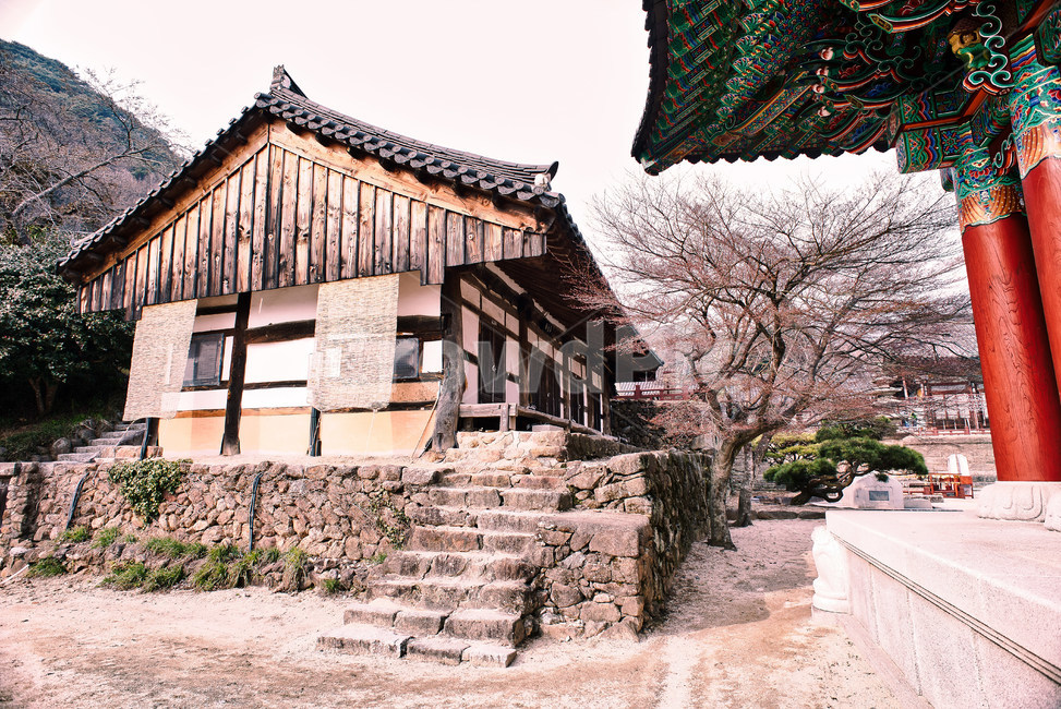 화엄사,구례군,천년고찰,사찰,신라시대유물,문화재,풍경,한국전통,한국문화,korean traditional,korean culture,건축물,건물외관,exterior,building,structure,architecture,construction