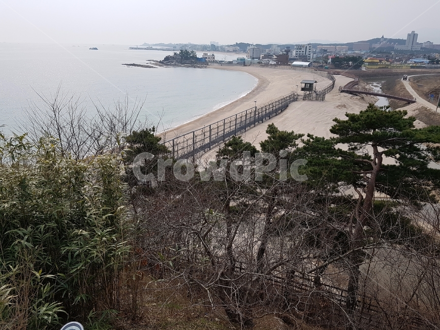 해안,바다,해안선,풍경,경치,자연,나무