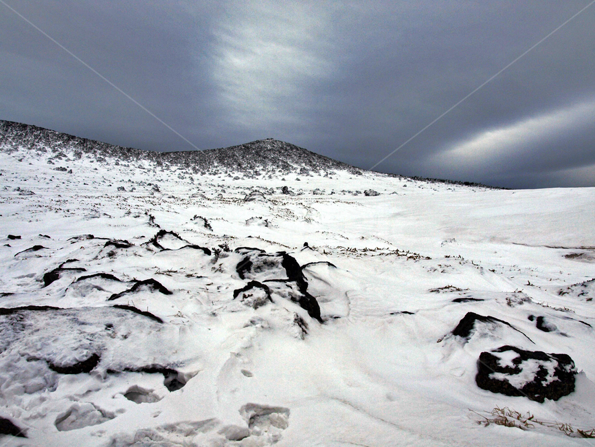 어리목,제주도,한라산,설경,겨울,설화,겨울산,눈,겨울,계절,winter,season,자연,풍경,nature,landscape,outdoors,옥외,mountain,산,snow,glacier,빙하
