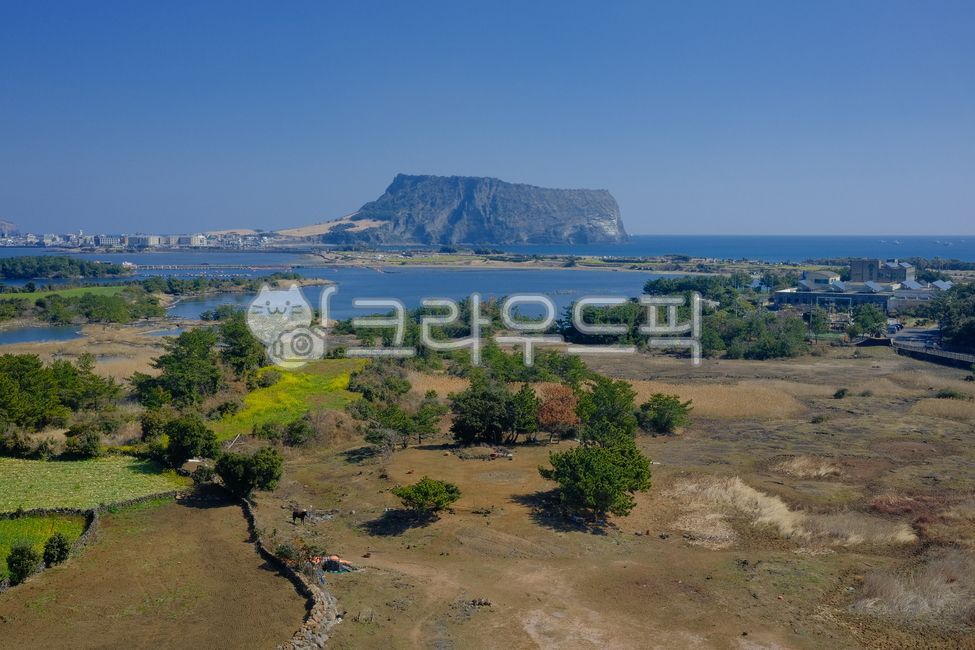 제주도,성산일출봉,한국,풍경,jeju,landscape,자연,바다,제주,말,배경화면