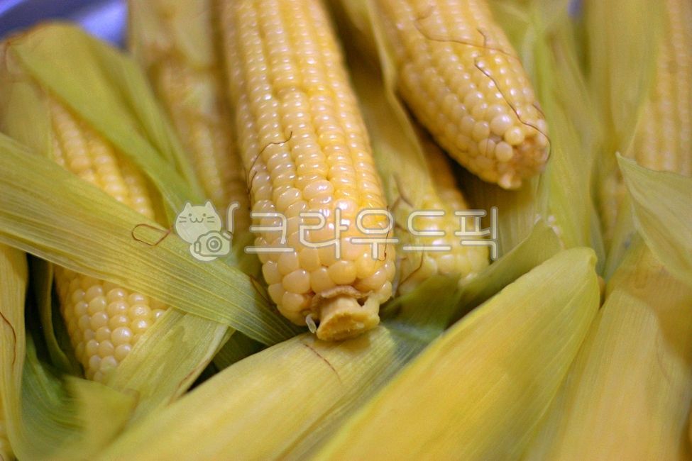 cornhusk,cornkernel,corn,cornsilk,corn stubble,food,corn kernels,corner,corn husk,boiledcorn,boiled corn