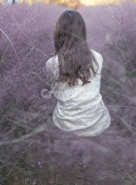 핑크뮬리,억새,분홍색,식물,핑크,가을,분홍억새,자주색,보라빛,핑크빛,감성,색상,색감,벼과식물,자연,갈대,역광,햇살,배경,여성,여자,뒷모습,가을,계절,fall,autumn,season,사람,인물,인간,human,person,여성,여자,woman,female,lady