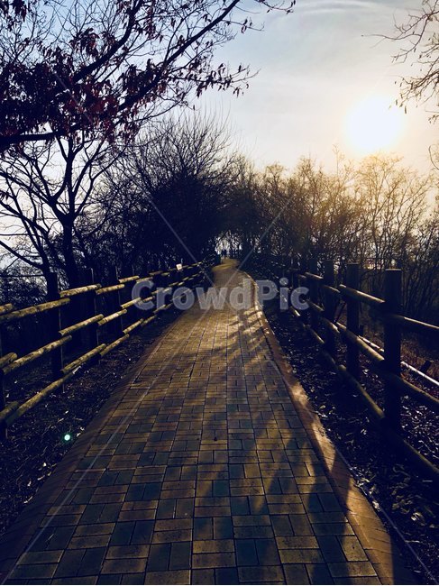 하늘공원,야외,하늘,해질녘,sky,park,sunset,자연,풍경,nature,landscape,path,통로,walkway,보도,banister,난간,handrail,flare,플레어,light,빛,railing