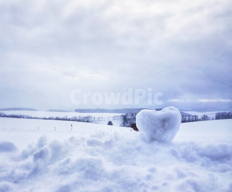 nature,자연,눈,snow,일본,훗카이도,겨울,계절,winter,season